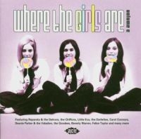 Various Artists - Where The Girls Are Volume 6 in the group CD / Pop at Bengans Skivbutik AB (1810590)