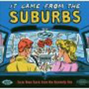 Various Artists - It Came From The Suburbs: Rare Teen in the group CD / Pop-Rock at Bengans Skivbutik AB (1810642)