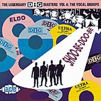 Various Artists - Shoo-Be-Doo-Be - Dig Masters Volume in the group CD / Pop-Rock at Bengans Skivbutik AB (1810832)