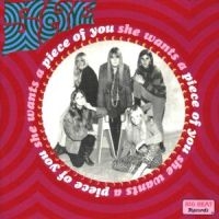 She - Wants A Piece Of You in the group CD / Pop-Rock at Bengans Skivbutik AB (1811535)
