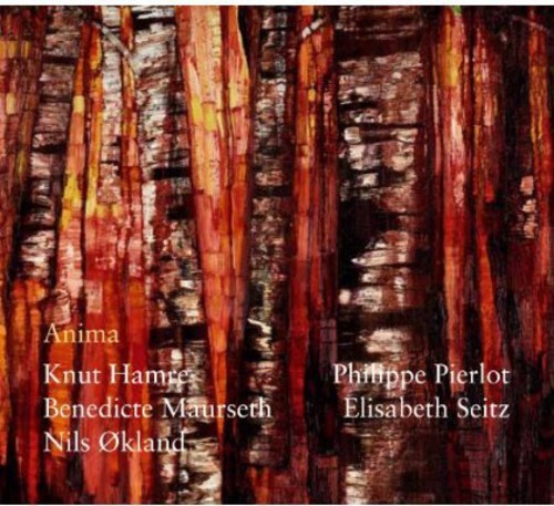 Maurseth Benedicte/Knut Hamre/Nilsö - Anima in the group CD / Bestsellers at Bengans Skivbutik AB (1812395)