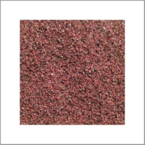 Laplante Travis & Peter Evans - Secret Meeting in the group CD / Jazz,Pop-Rock at Bengans Skivbutik AB (1812486)