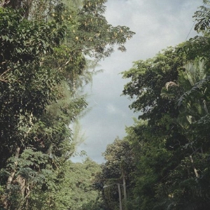 Nelson Zac - New Once in the group VINYL / Rock at Bengans Skivbutik AB (1842331)