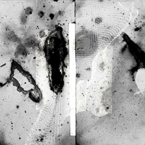 Certain Creatures - Vipassana in the group OTHER / Övrigt /  at Bengans Skivbutik AB (1842334)