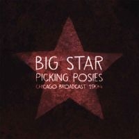 Big Star - Picking Posies in the group VINYL / Pop-Rock at Bengans Skivbutik AB (1847673)