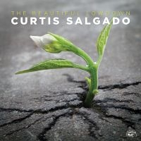 Salgado Curtis - Beautiful Lowdown in the group CD / Blues,Jazz at Bengans Skivbutik AB (1868256)