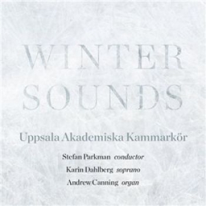 Blandade Artister - Winter Sounds in the group CD / Klassiskt at Bengans Skivbutik AB (1871647)