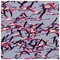 DEFTONES - GORE in the group CD / Pop-Rock at Bengans Skivbutik AB (1872533)
