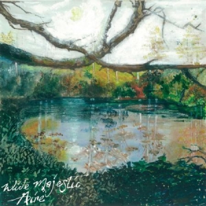 Trembling Bells - Wide Majestic Aire in the group CD / Pop at Bengans Skivbutik AB (1874308)