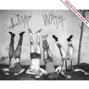 Limp Wrist - Limp Wrist in the group VINYL / Rock at Bengans Skivbutik AB (1874316)