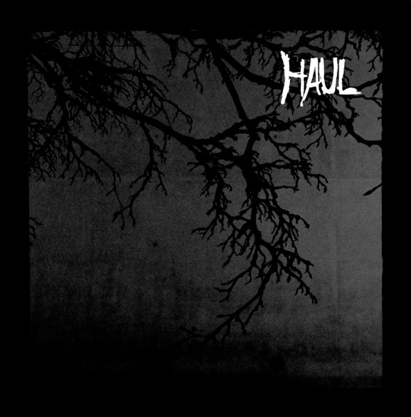 Haul - Seperation in the group VINYL / Bestsellers at Bengans Skivbutik AB (1878761)