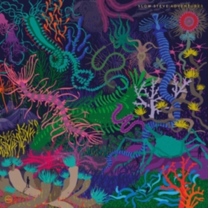 Slow Steve - Adventures in the group CD / Pop-Rock at Bengans Skivbutik AB (1883846)