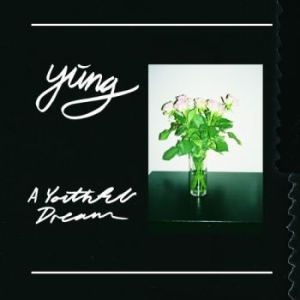 Yung - A Youthful Dream in the group CD / Pop at Bengans Skivbutik AB (1890981)