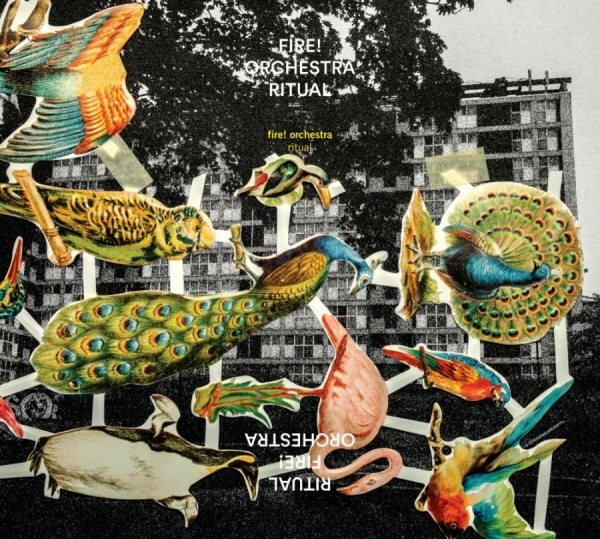 Fire! Orchestra - Ritual in the group CD / Jazz/Blues at Bengans Skivbutik AB (1901543)