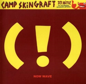 Blandade Artister - Camp Skin Graft: Now Wave in the group OTHER / Övrigt /  at Bengans Skivbutik AB (1908012)