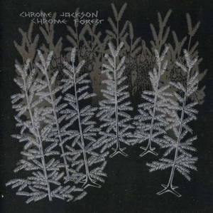 Chrome Jackson - Chrome Forest in the group OTHER / Övrigt /  at Bengans Skivbutik AB (1908067)
