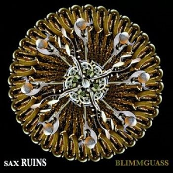 Sax Ruins - Blimmguass in the group CD / Rock at Bengans Skivbutik AB (1908077)