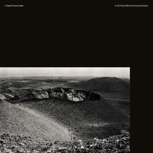 A Dead Forest Index - In All That Drifts From Summit Down in the group CD / Bestsellers at Bengans Skivbutik AB (1908203)