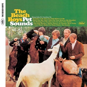 The Beach Boys - Pet Sounds - 50Th (Mono Lp) in the group OUR PICKS / Most popular vinyl classics at Bengans Skivbutik AB (1921417)