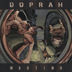 Doprah - Wasting in the group VINYL / Rock at Bengans Skivbutik AB (1923042)