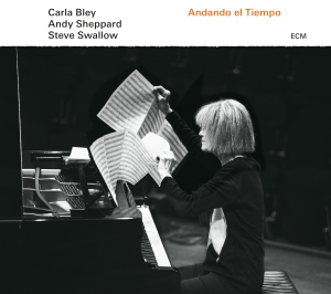 Carla Bleysteve Swallow Andy Shep - Andando El Tiempo in the group Externt_Lager /  at Bengans Skivbutik AB (1946632)