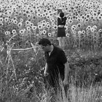 Jesu/Sun Kil Moon - Jesu/Sun Kil Moon in the group VINYL / Pop-Rock at Bengans Skivbutik AB (1947641)