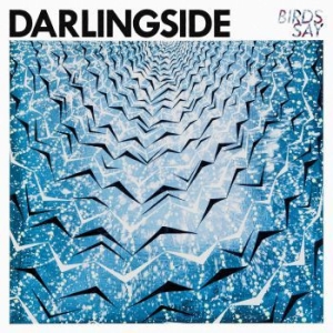 Darlingside - Birds Say in the group CD / Pop at Bengans Skivbutik AB (1951418)