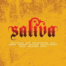 Saliva - Icon in the group CD / Pop-Rock at Bengans Skivbutik AB (1954118)