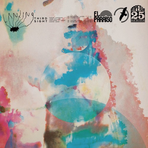 Landing - Third Sight in the group CD / Pop at Bengans Skivbutik AB (1954241)