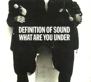 Definition Of Sound - What Are You Under in the group VINYL / Hip Hop-Rap at Bengans Skivbutik AB (1959742)