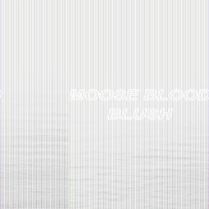 Moose Blood - Blush in the group CD / Pop-Rock at Bengans Skivbutik AB (1969343)