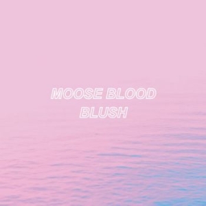 Moose Blood - Blush in the group CD / Pop-Rock at Bengans Skivbutik AB (1969343)