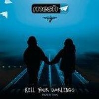 Mesh - Kill Your Darlings in the group VINYL / Pop at Bengans Skivbutik AB (1974932)
