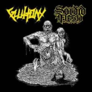 Gluttony / Sordid Flesh - Split in the group CD / Hårdrock at Bengans Skivbutik AB (1976265)