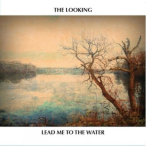 Looking - Lead Me To The Water in the group CD / Country at Bengans Skivbutik AB (1977238)