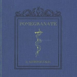 Astronautalis - Pomegranate in the group VINYL / Rock at Bengans Skivbutik AB (1977271)