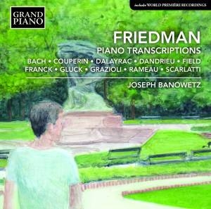 Friedman Ignaz - Piano Transcriptions in the group Externt_Lager /  at Bengans Skivbutik AB (2003516)