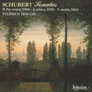 Schubert Franz - Piano Sonatas D 960, 784 & 613 in the group Externt_Lager /  at Bengans Skivbutik AB (2007806)