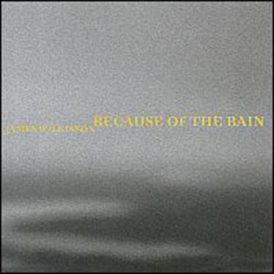 Wilkinson James - Because Of The Rain in the group Externt_Lager /  at Bengans Skivbutik AB (2010552)