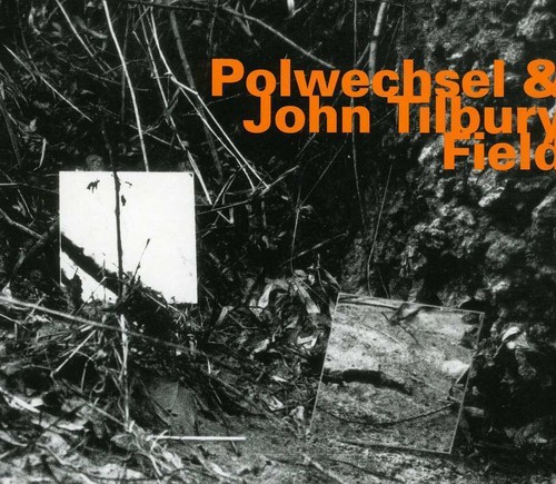 Polwechsel & John Tilbury - Field in the group CD / Jazz/Blues at Bengans Skivbutik AB (2014560)