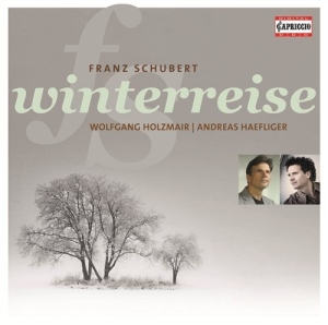 Schubert - Winterreise in the group Externt_Lager /  at Bengans Skivbutik AB (2015944)