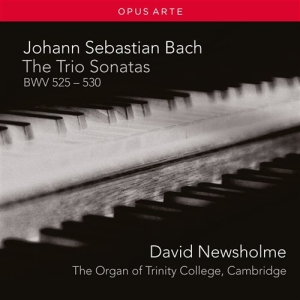 Bach J. S. - The Trio Sonatas in the group CD at Bengans Skivbutik AB (2017236)