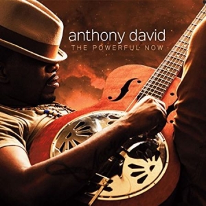 Anthony David - Powerful Now in the group CD / RNB, Disco & Soul at Bengans Skivbutik AB (2032428)