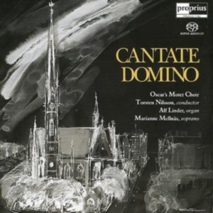 Blandade Artister - Cantate Domino in the group OTHER / Övrigt /  at Bengans Skivbutik AB (2034535)