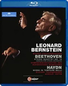 Bernstein - Conducts Beethoven / Haydn (Blu-Ray in the group Externt_Lager /  at Bengans Skivbutik AB (2035477)