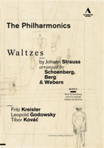 Johann Strauss - Waltzes in the group Externt_Lager /  at Bengans Skivbutik AB (2035908)