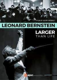 Various - Leonard Bernstein: Larger Than Life in the group Externt_Lager /  at Bengans Skivbutik AB (2037316)