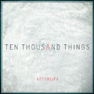 Afterlife - Ten Thousand Things in the group CD / Pop at Bengans Skivbutik AB (2040084)
