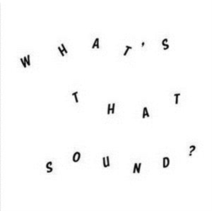 Woolhouse Daniel - What's That Sound in the group OTHER / Övrigt /  at Bengans Skivbutik AB (2042585)