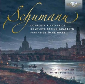 Schumann Robert - Complete Piano Trios & String Quart in the group Externt_Lager /  at Bengans Skivbutik AB (2055656)
